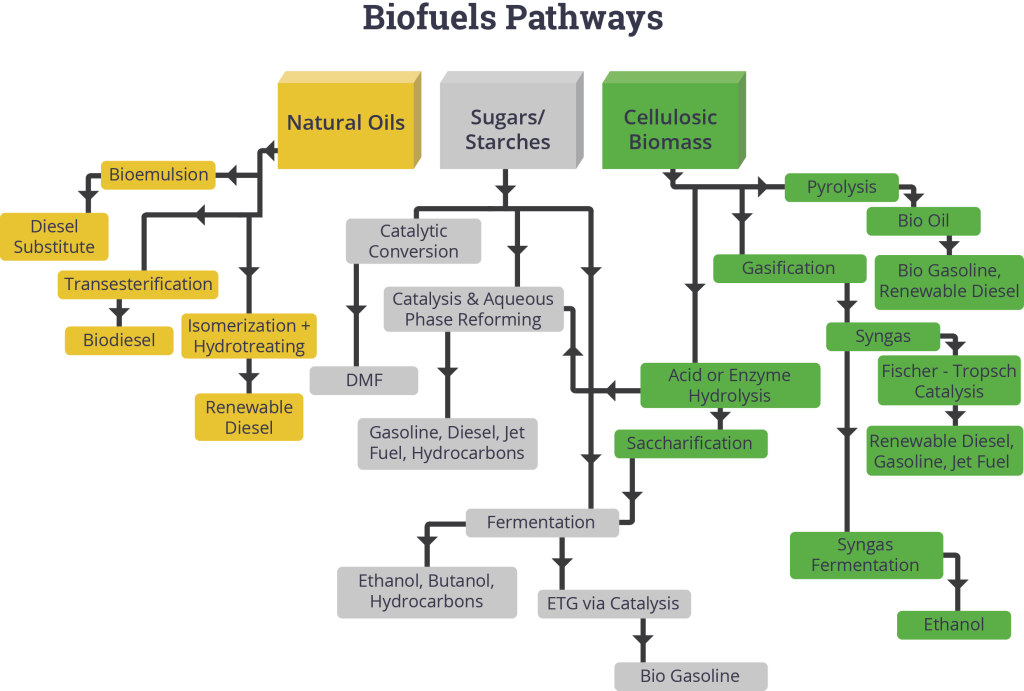 Biofuels-web