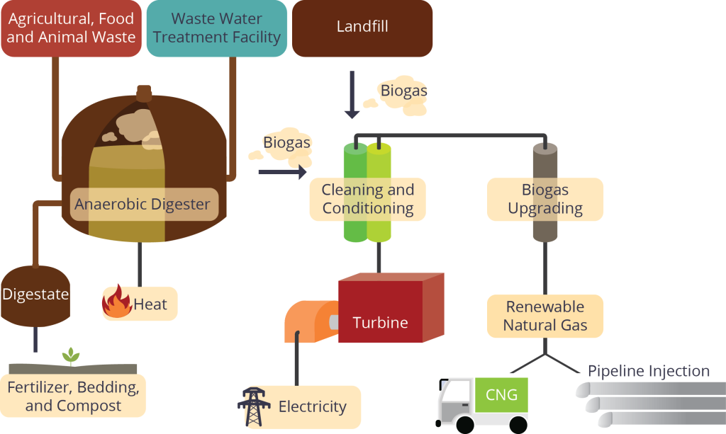 Biogas-new